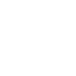 Fisioterapia                                                 width=