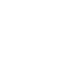 Fisioterapia                                                 width=